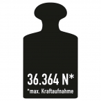  BLACK BULL Rammschutz-Geländer XL-Line  (18)